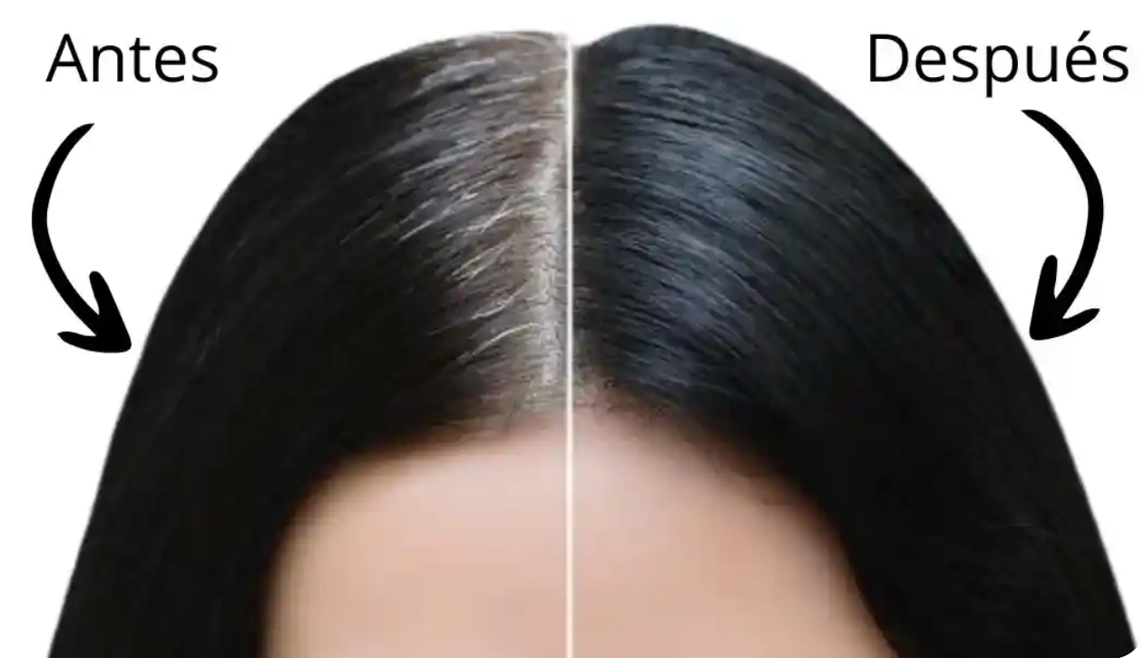 Polvos Cubridores de Canas Buny®